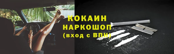 mdpv Инсар