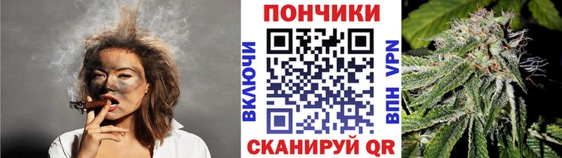 Каннабис планчик  где купить наркоту  Ковров 